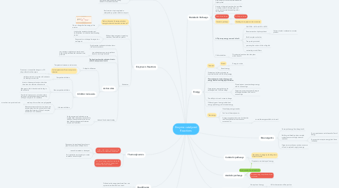 Mind Map: Enzyme-catalyzed Reactions