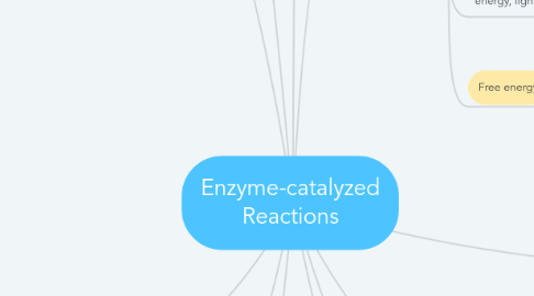 Mind Map: Enzyme-catalyzed Reactions