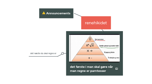 Mind Map: renehikidet