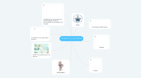 Mind Map: PRODUCTO_2_3D_38TSJH