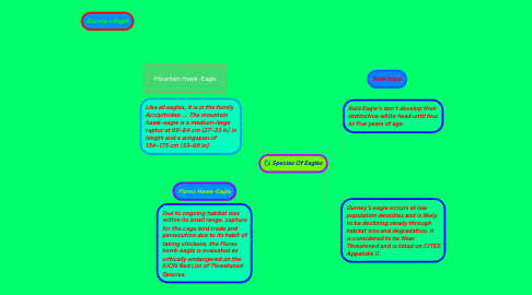 Mind Map: Species Of Eagles