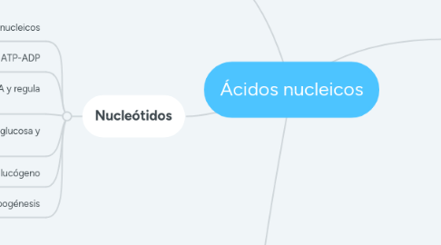 Mind Map: Ácidos nucleicos