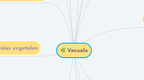 Mind Map: Vacuola
