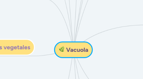 Mind Map: Vacuola