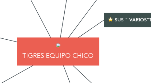 Mind Map: TIGRES EQUIPO CHICO