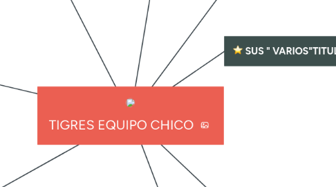 Mind Map: TIGRES EQUIPO CHICO