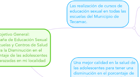 Mind Map: Objetivo General:          Campaña de Educación Sexual en Escuelas y Centros de Salud para la Disminución en el porcentaje de las adolescentes embarazadas en mi localidad