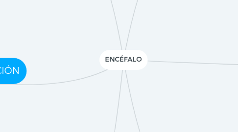 Mind Map: ENCÉFALO