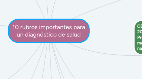 Mind Map: 10 rubros importantes para un diagnóstico de salud