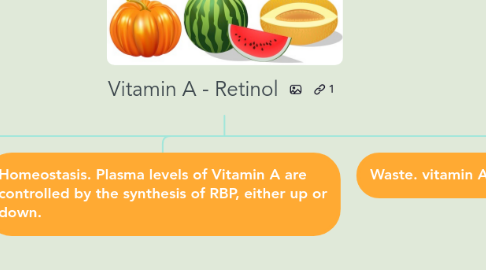 Mind Map: Vitamin A - Retinol