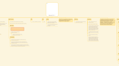 Mind Map: Vitamin E