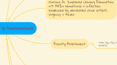 Mind Map: Kidney'Role in Homeostasis