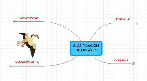 Mind Map: CLASIFICACIÓN DE LAS AVES