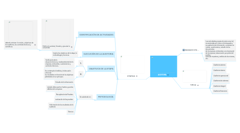 Mind Map: AUDITORIA