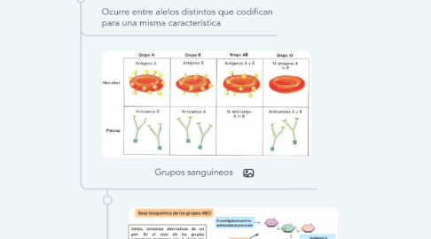 Mind Map: Interacción Génica (Clase 25)