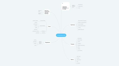 Mind Map: ORGANIZACION