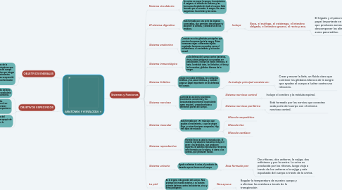 Mind Map: ANATOMIA Y FISIOLOGIA