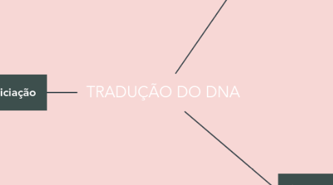 Mind Map: TRADUÇÃO DO DNA