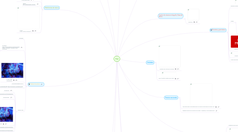 Mind Map: PLE