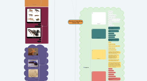Mind Map: Diversity of living things concept map