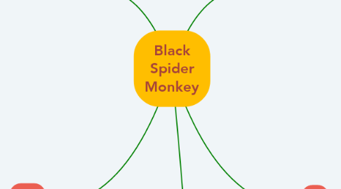 Mind Map: Black Spider Monkey