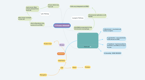 Mind Map: 5 Viruses released!