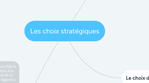 Mind Map: Les choix stratégiques