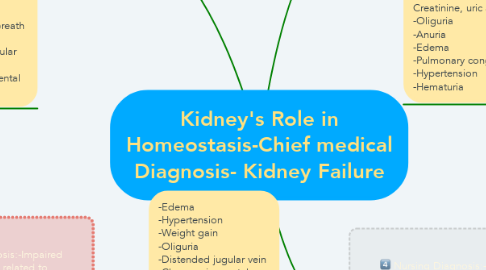Mind Map: Kidney's Role in Homeostasis-Chief medical Diagnosis- Kidney Failure