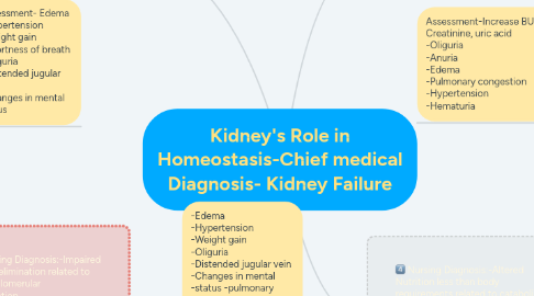 Mind Map: Kidney's Role in Homeostasis-Chief medical Diagnosis- Kidney Failure