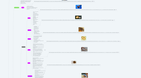 Mind Map: ORGANISMS