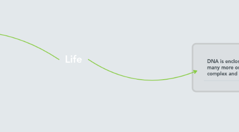 Mind Map: Life