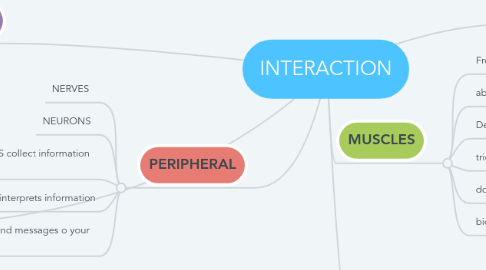 Mind Map: INTERACTION