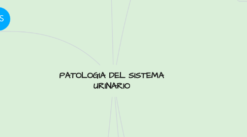 Mind Map: PATOLOGIA DEL SISTEMA URINARIO