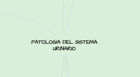 Mind Map: PATOLOGIA DEL SISTEMA URINARIO