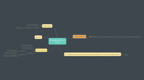 Mind Map: PLANTAS SEGÚN SU TALLO