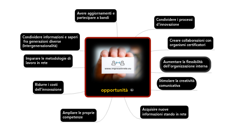 Mind Map: opportunità