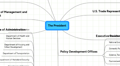 Mind Map: The President