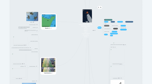 Mind Map: eXplore Byron #beautiful #followme #love _Sea _Forest _Beach _Spirit _Local Produce _Mountains _Rivers