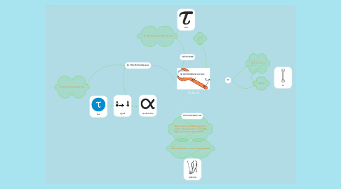 Mind Map: TORQUE