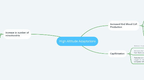 Mind Map: High Altitude Adaptations