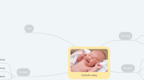 Mind Map: Nyfødte baby