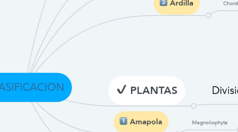 Mind Map: CLASIFICACION