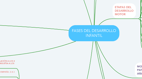 Mind Map: FASES DEL DESARROLLO INFANTIL
