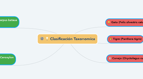 Mind Map: Clasificación Taxonomíca