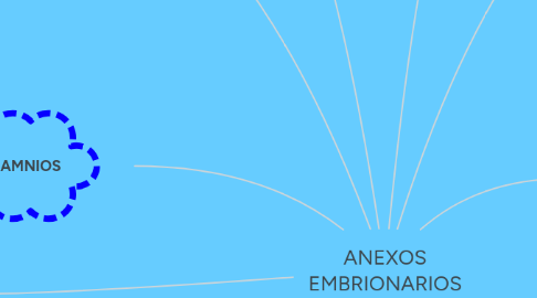 Mind Map: ANEXOS EMBRIONARIOS