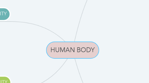 Mind Map: HUMAN BODY