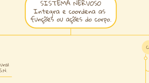 Mind Map: SISTEMA NERVOSO Integra e coordena as funções ou ações do corpo.