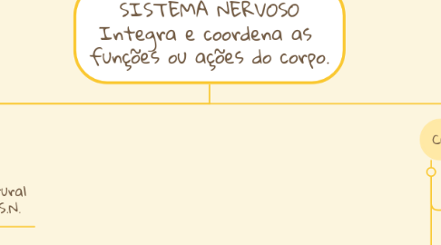 Mind Map: SISTEMA NERVOSO Integra e coordena as  funções ou ações do corpo.