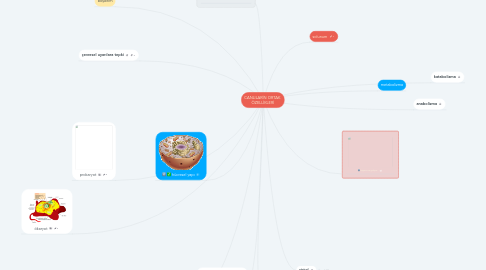 Mind Map: CANLILARİN ORTAK  ÖZELLİKLERİ