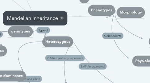 Mind Map: Mendelian Inheritance